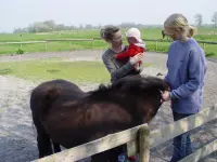 Reiten