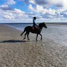 Reiten auf unserem Hof